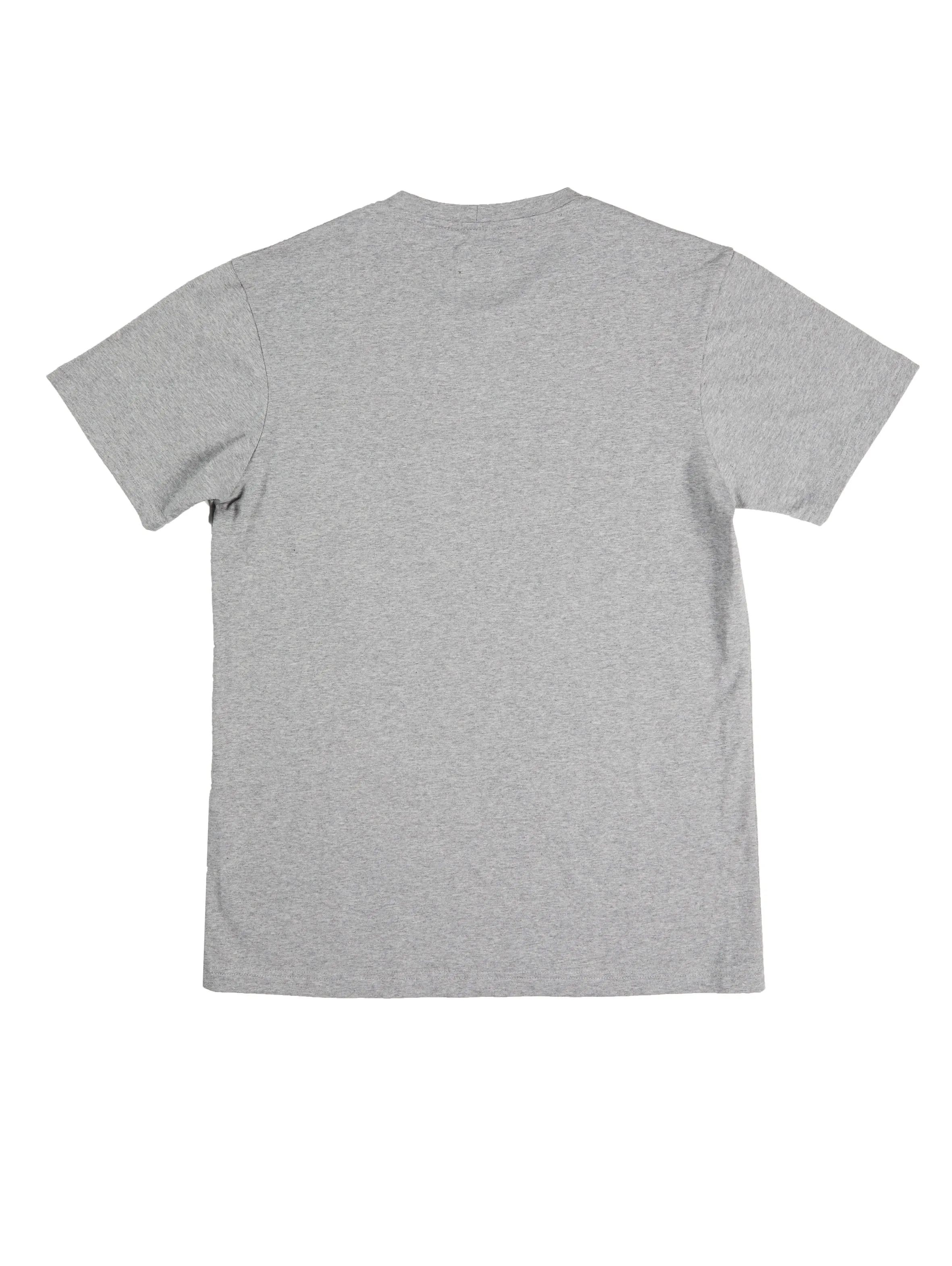 Basic Grey T Shirt